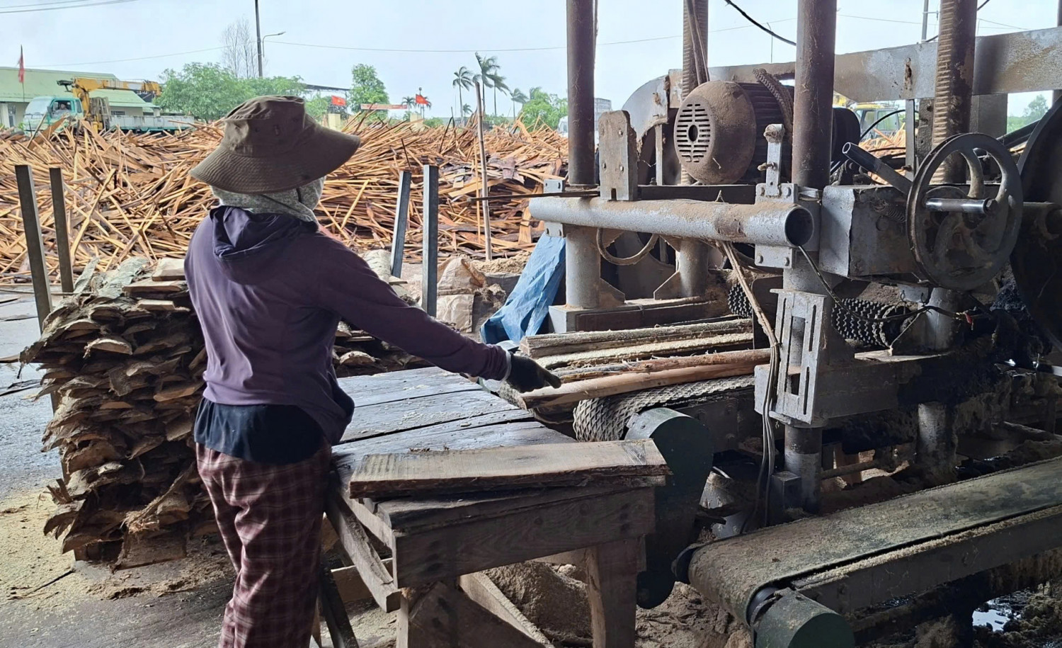 Hoạt động chế biến gỗ của Nhà máy Sản xuất đồ gỗ xây dựng Hoàng Anh 2  - Ảnh: N.V