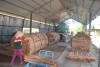 Chế biến gỗ tại Nhà máy gỗ Nguyên Phong-CCN Ái Tử