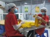 Công ty TNHH Sản xuất thương mại Thiện Bảo, thôn Đồng Văn, xã Triệu Sơn huyện Triệu Phong, tỉnh Quảng Trị