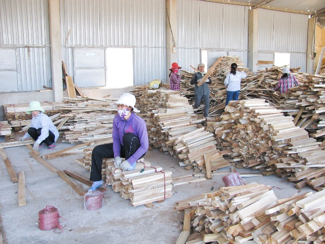 Lao động nữ đang thực hiện một công đoạn trong dây chuyền sơ chế gỗ ở Triệu Phong